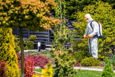 Rear view of man working on plants