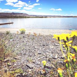 Scenic view of lake against cloudy sky