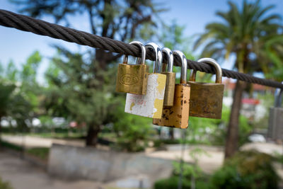 Close-up of padlocks on tree