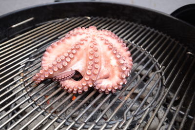 Close-up of octopus on barbecue grill