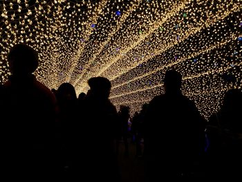 Silhouette of people at music concert