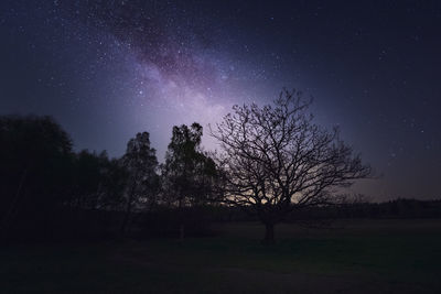 Silhouette of trees on field against night sky and the milky way, galactic core