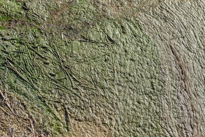 Full frame shot of tiled floor