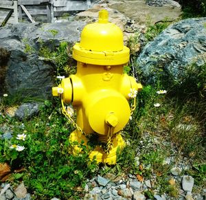 High angle view of yellow fire hydrant on rocks