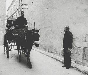 Full length of woman standing by railing