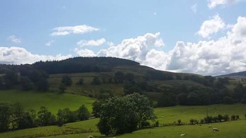 Scenic view of grassy field against cloudy sky