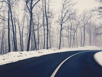Snow covered trees in forest