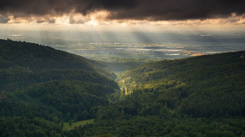 The sun shines on the waldprecht valley in the black forest. in the background, the rhine plain