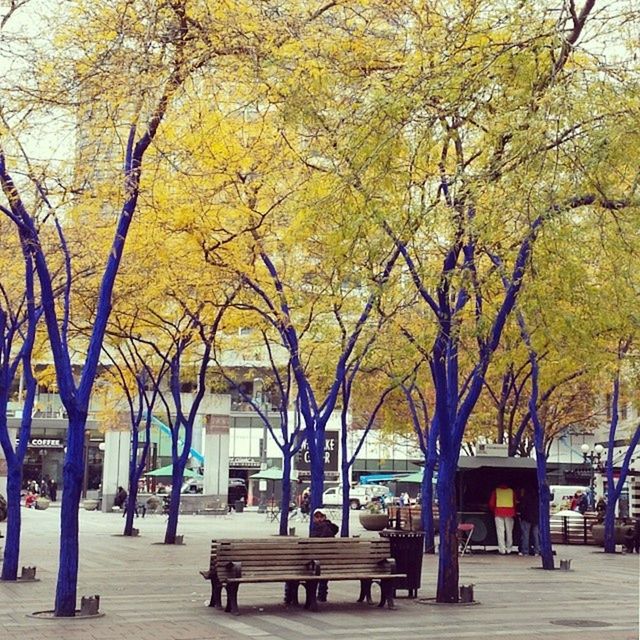 Westlake Center