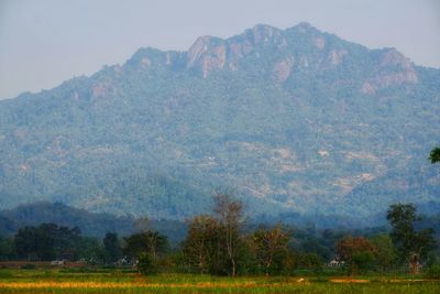 Scenic view of trees and mountains against sky