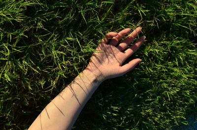 High angle view of woman hand on field