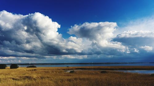 Scenic view of field against sky