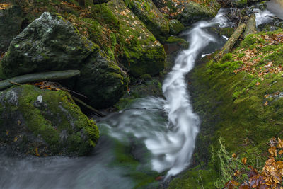 View of waterfall in forest