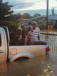 Rear view of woman with dog sitting in car