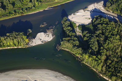 High angle view of lake amidst trees