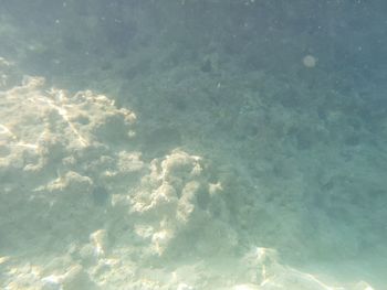 Full frame shot of sea