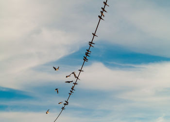 Low angle view of silhouette birds flying against sky