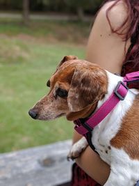 Midsection of woman with dog looking away