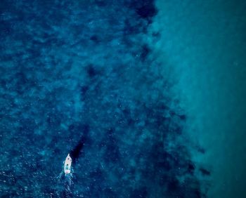 Aerial view of boat in sea