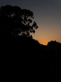 Low angle view of silhouette tree against sky during sunset