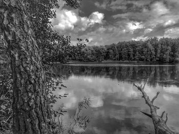 Reflection of trees in lake against sky