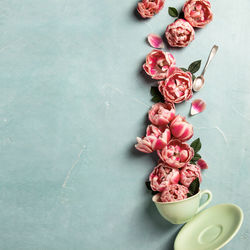 High angle view of pink roses on table