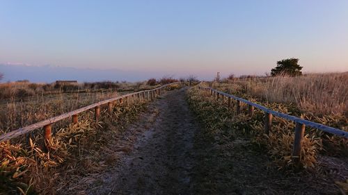 Scenic view of agricultural field against clear sky