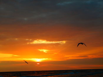 Silhouette bird flying over sea against sky during sunset