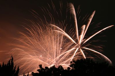 Low angle view of firework display