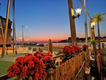 View of flowering plants by street against sky during sunset