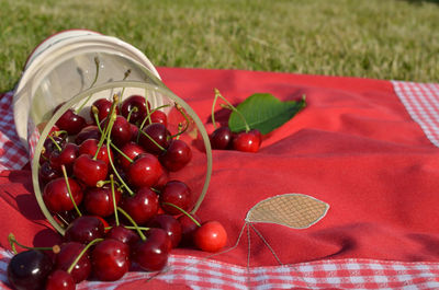 Close-up of cherries on plant at field