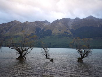 Scenic view of lake and mountains against sky