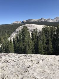 Scenic view of landscape against clear blue sky