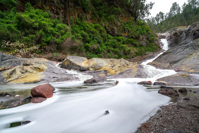 Scenic view of waterfall in forest