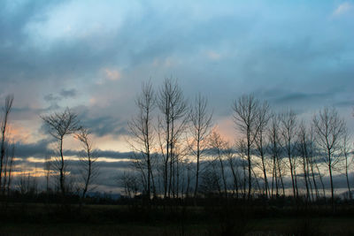 Silhouette bare trees on landscape against sky during sunset