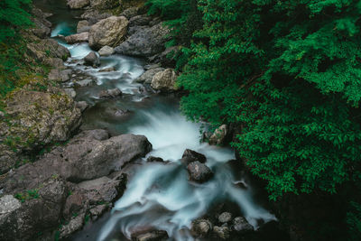 Scenic view of waterfall in forest