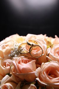 Close-up of wedding rings