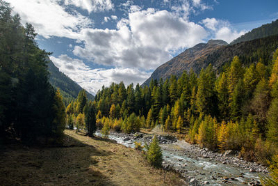 Panoramic view of trees and mountains against sky