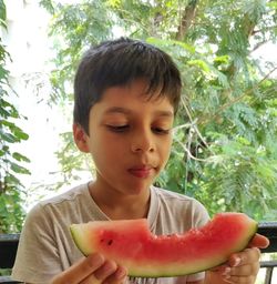 Portrait of boy holding apple against trees