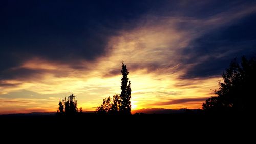 Silhouette trees on landscape against sunset sky