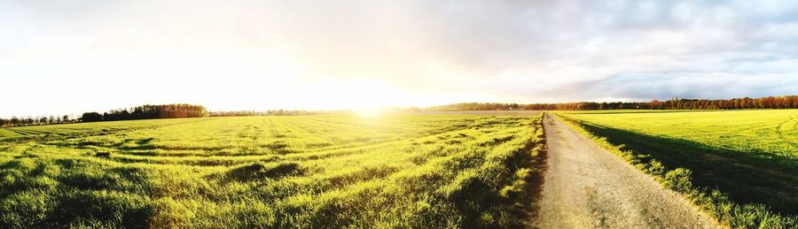 Panoramic view of empty road amidst grassy landscape against sky