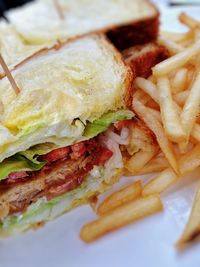 Close-up of french fries