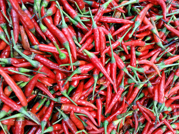 Full frame shot of red chili peppers for sale at market