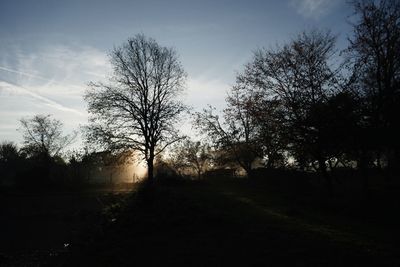 Silhouette trees on field against sky