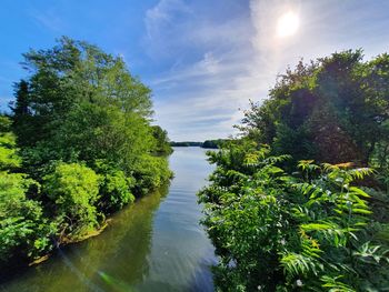 Scenic view of river amidst trees against sky