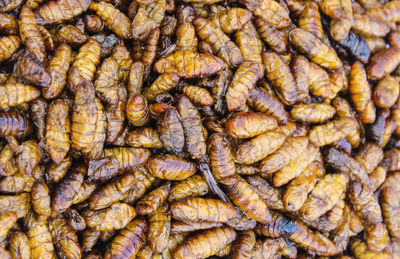 Full frame shot of food for sale at market