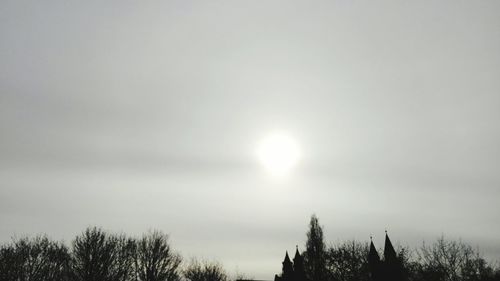 Low angle view of trees against sky