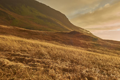 Scenic view of landscape against sky during sunset