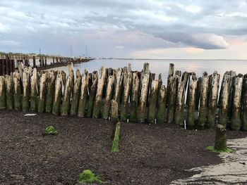 Wooden posts on field against sky