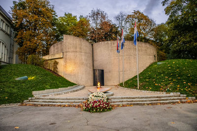 Flowering plants in park